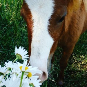 Juju O natuR'L (1)   